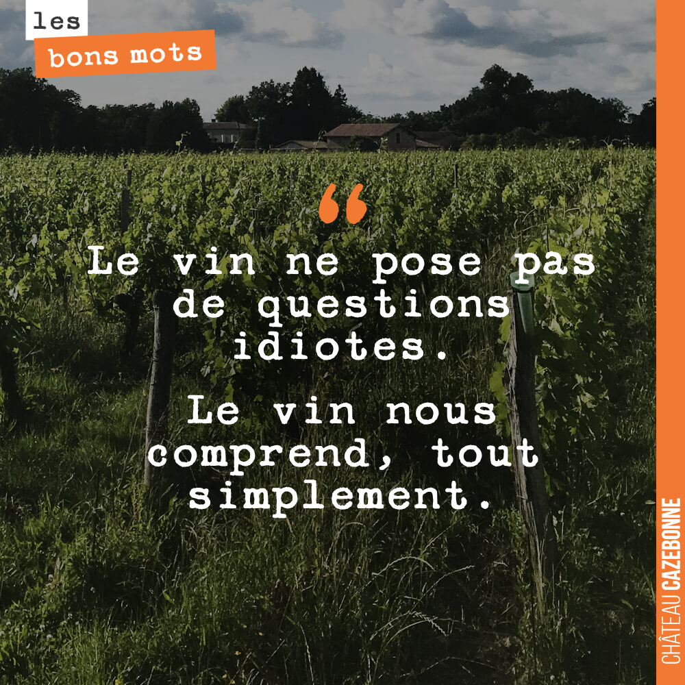 Le vin ne pose pas de questions idiotes. Le vin nous comprend, tout simplement.
