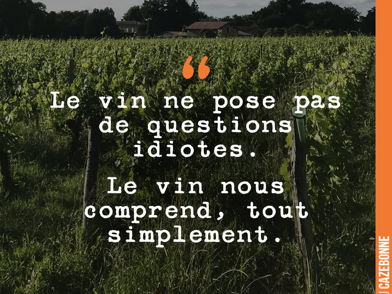 Le vin ne pose pas de questions idiotes. Le vin nous comprend, tout simplement.