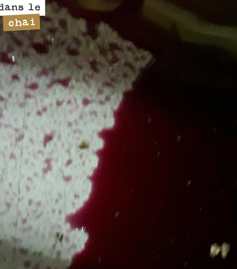 A qui profite le crime ?
On a écoulé et pressé aujourd’hui une cuve de merlot. La fermentation était terminée. Le temps est venu pour l’élevage.