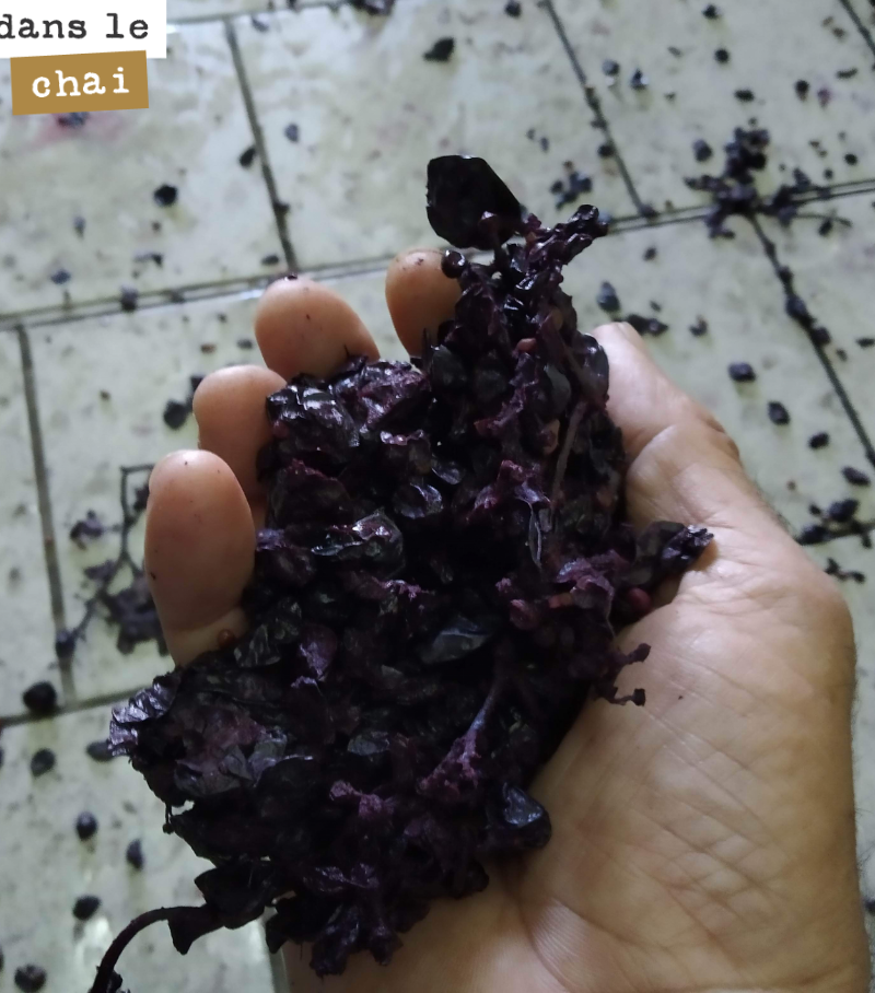 Et si on pouvait lire dans le marc de vin rouge ?