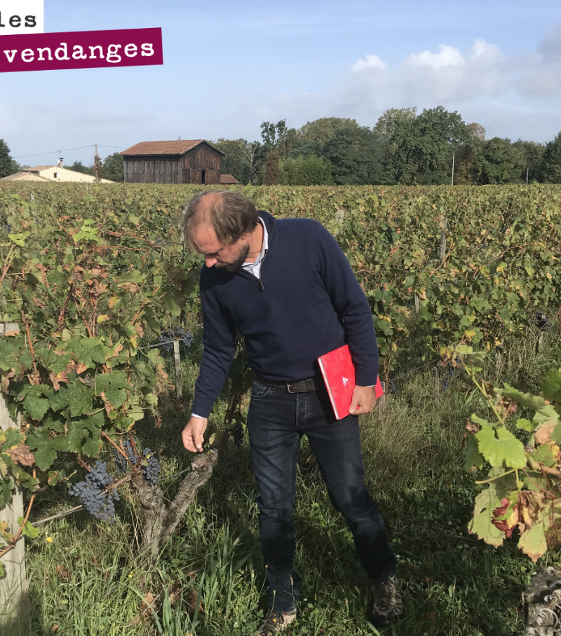 Nicolas, our oenologist, tastes the grapes to determine the harvest date, plot by plot.