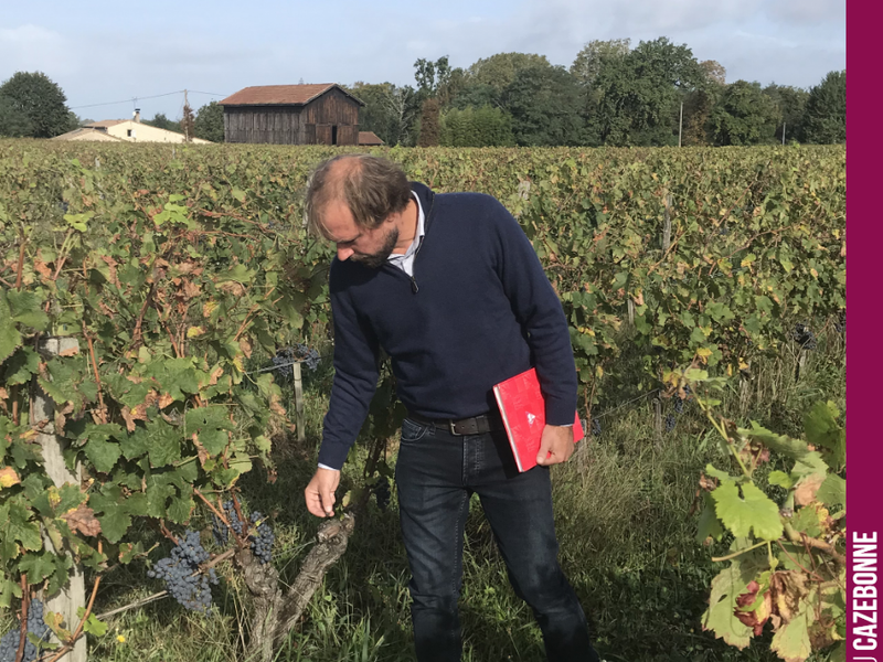 Nicolas, our oenologist, tastes the grapes to determine the harvest date, plot by plot.