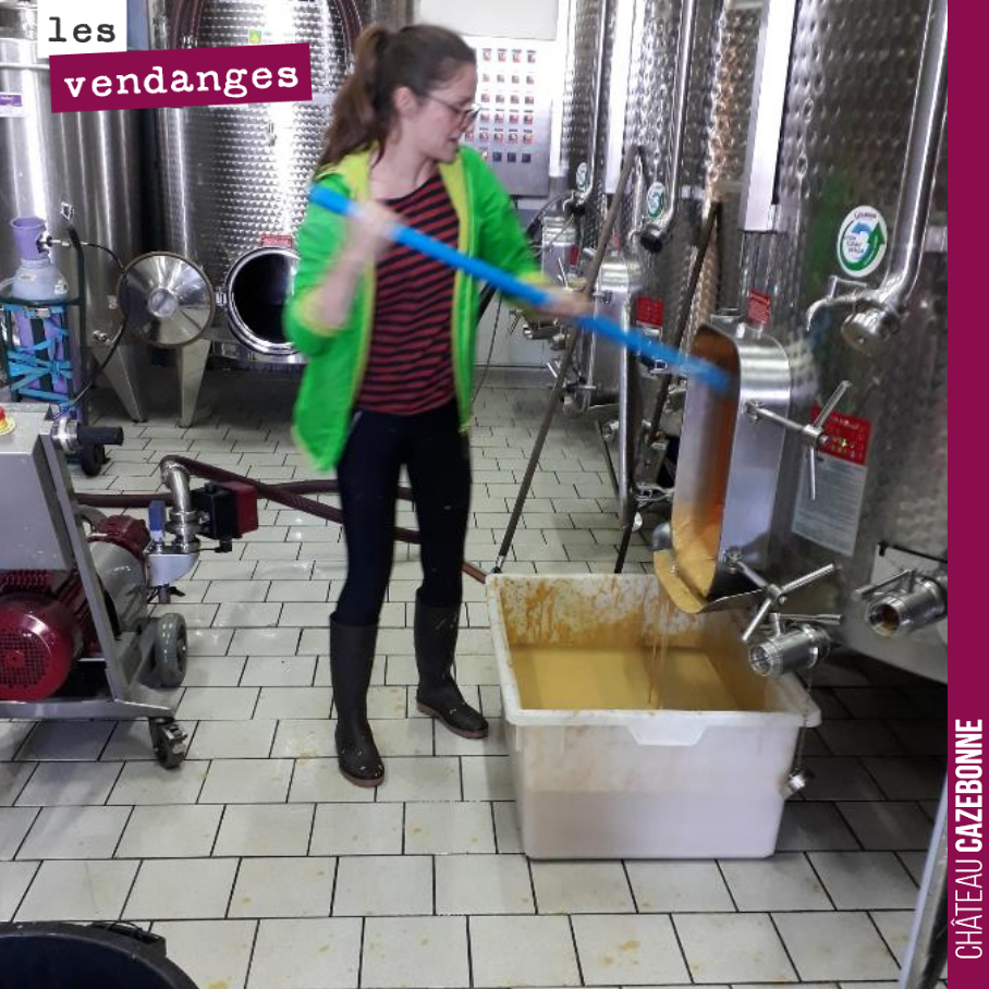 Marion joined us as an intern for the 2019 harvest. Many thanks to her for her hard work and dedication.
We wish you all the best in your future projects.