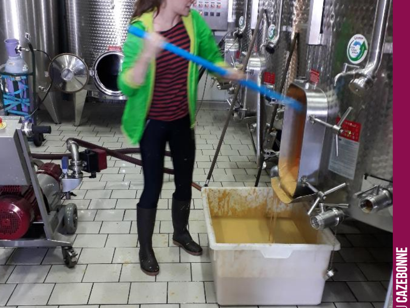 Marion joined us as an intern for the 2019 harvest. Many thanks to her for her hard work and dedication.
We wish you all the best in your future projects.