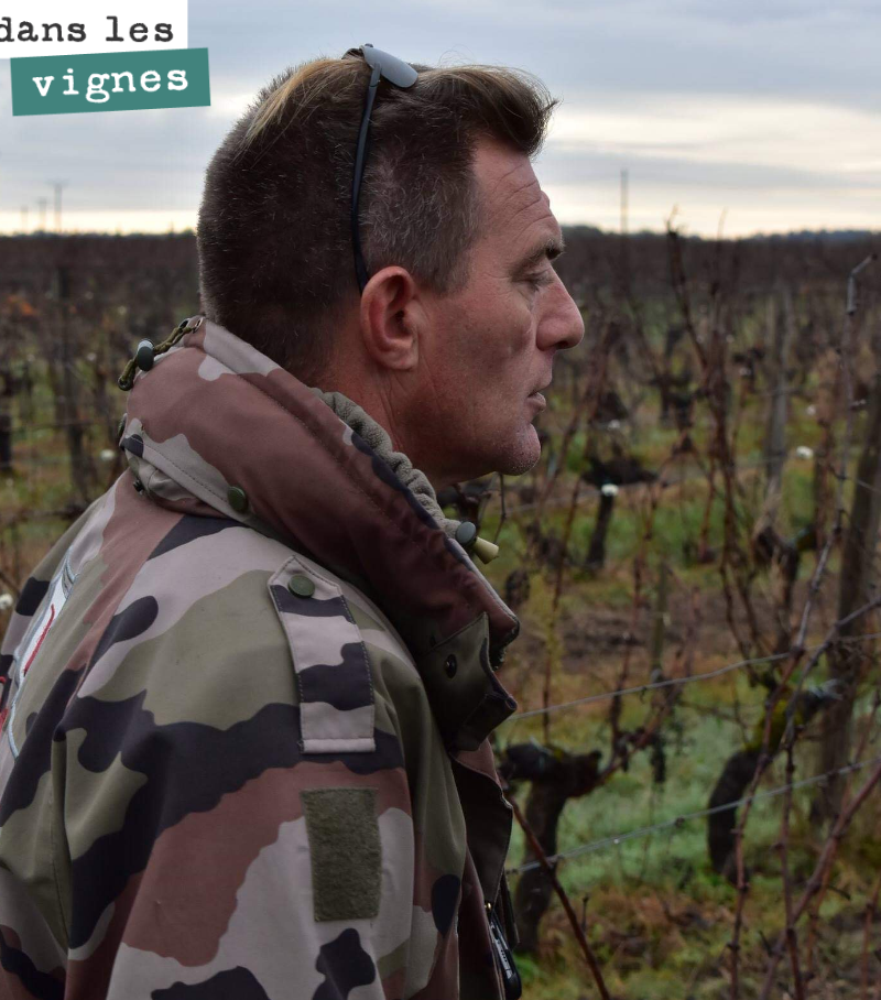 The vineyard requires a great deal of human intervention throughout the year, from pruning to harvest. Fredy and his team support us throughout the year, carrying out part of our viney...
