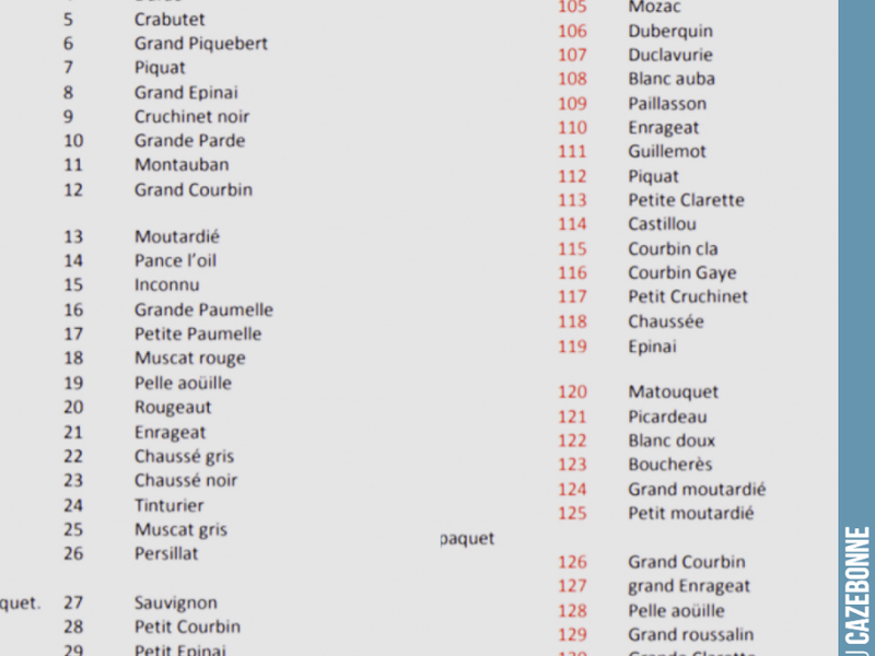 If there was ever any need to demonstrate the extraordinary diversity of grape varieties present in our vineyards over the past centuries!
From 1782 to 1784, Intendant Nicolas Dupré de Saint-Maur ordered a...