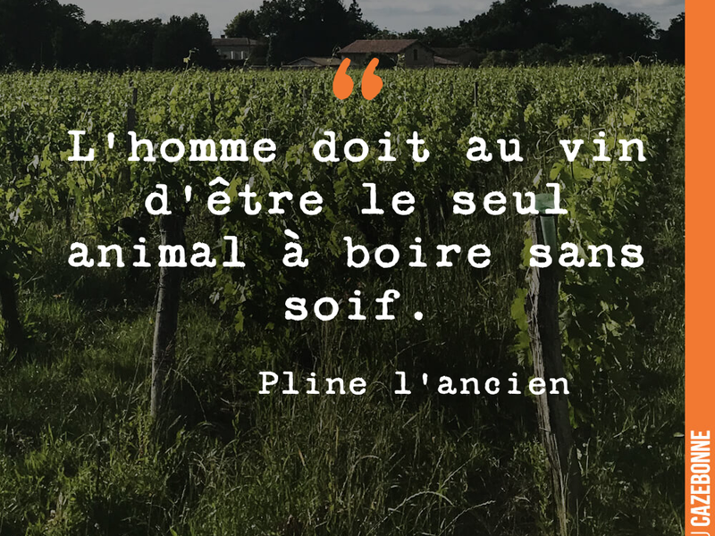 L'homme doit au vin d'être le seul animal à boire sans soif.