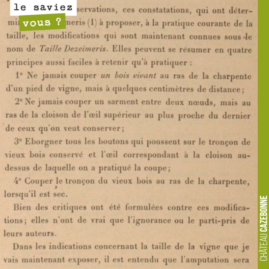Description of the Dezeimeris pruning method in 1892.
Already embodying the principles of gentle pruning and respect for the sap flow.
One of the main principles is to ensure that the inevitable pruning wounds...