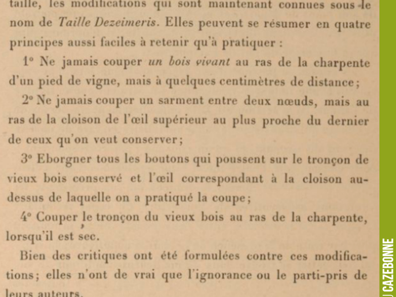 Description of the Dezeimeris pruning method in 1892.
Already embodying the principles of gentle pruning and respect for the sap flow.
One of the main principles is to ensure that the inevitable pruning wounds...