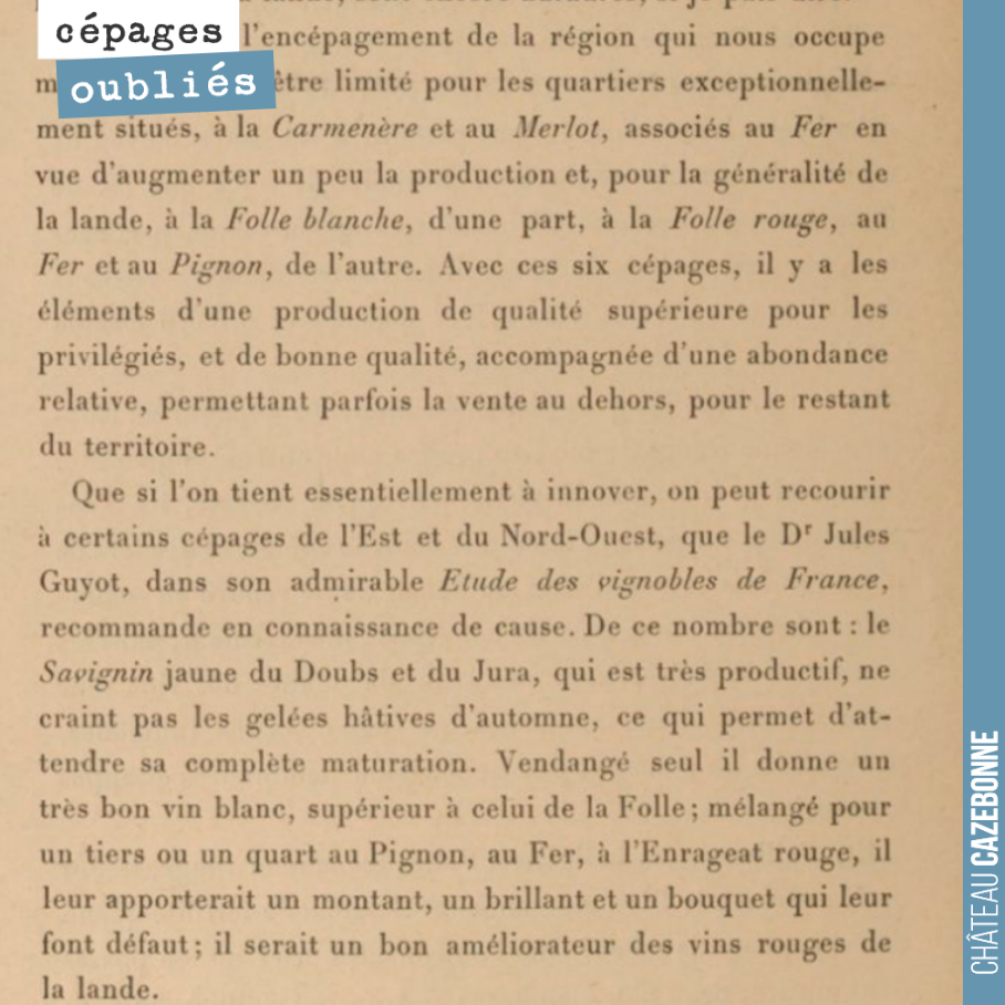 Grape variety recommendations for Southern Gironde on sandy and alios soils, by F. Vassilière in 1892.
Carménère and Merlot for the finest terroirs.
For other terroirs, Folle b...