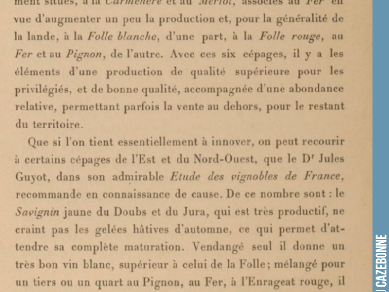 Grape variety recommendations for Southern Gironde on sandy and alios soils, by F. Vassilière in 1892.
Carménère and Merlot for the finest terroirs.
For other terroirs, Folle b...