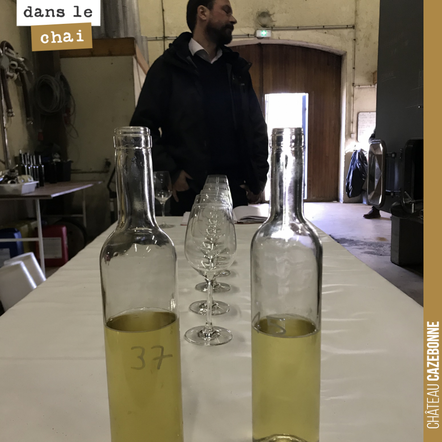 We are going to taste all our white wine batches for blending ahead of bottling our Entre amis 2019 cuvée.
We will be releasing it from early March: a delicious white wine, crisp with f...