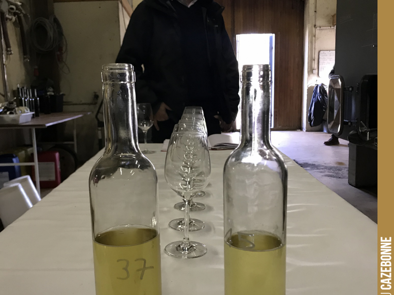 We are going to taste all our white wine batches for blending ahead of bottling our Entre amis 2019 cuvée.
We will be releasing it from early March: a delicious white wine, crisp with f...