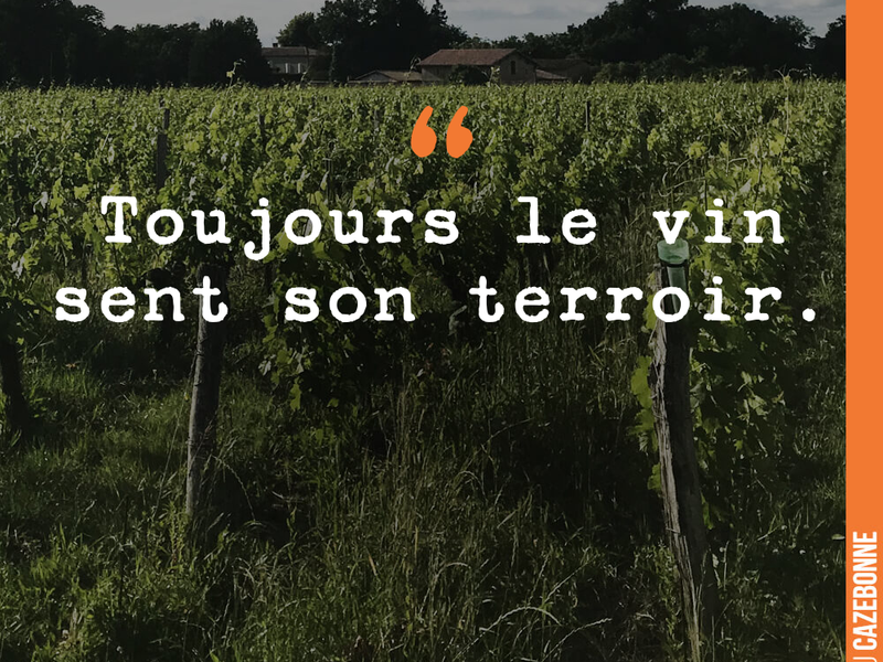Toujours le vin sent son terroir.