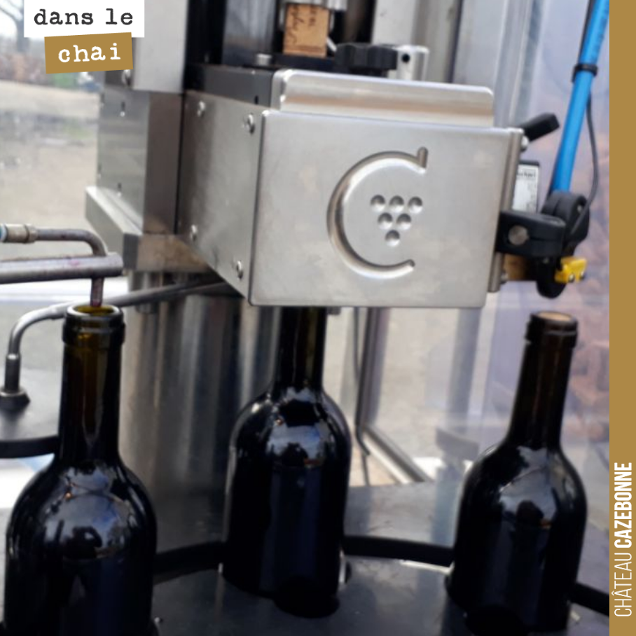 A busy bottling day with our Entre amis blanc 2019, our single-vineyard reds Astéries de Darche (Merlot in amphora) and Galets de Cazebonne (Cabernet Sauvignon in amphora).
And it...