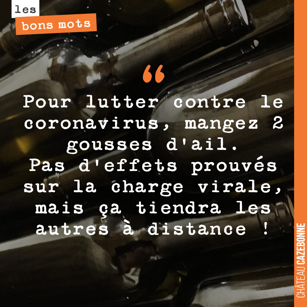 Pour lutter contre le coronavirus, mangez 2 gousses d'ail. Pas d'effets prouvés sur la charge virale, mais ça tiendra les autres à distance !