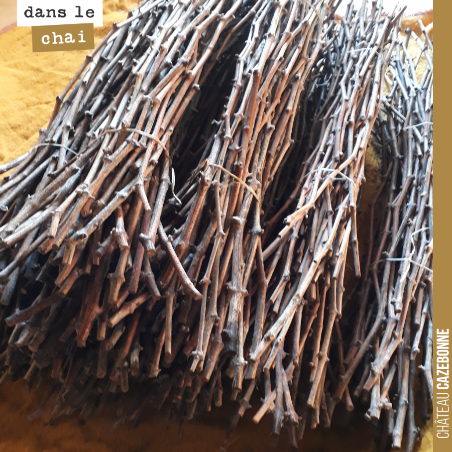 The scions are ready for top-grafting Mancin. These canes have been selected and kept in cold storage all winter.
They are in perfect condition and will...
