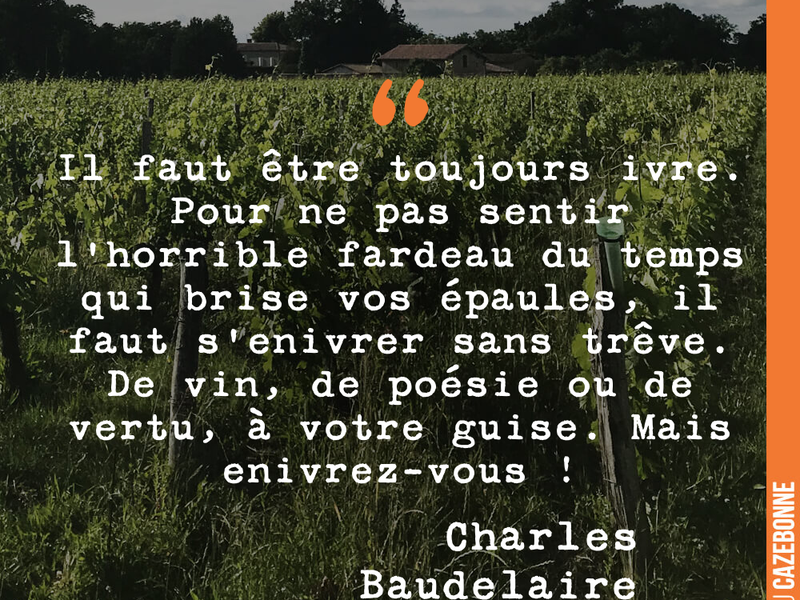 Il faut être toujours ivre. Pour ne pas sentir l'horrible fardeau du temps qui brise vos épaules, il faut s'enivrer sans trêve. De vin, de poésie ou de vertu, à votre guise. Mais enivrez-vous !