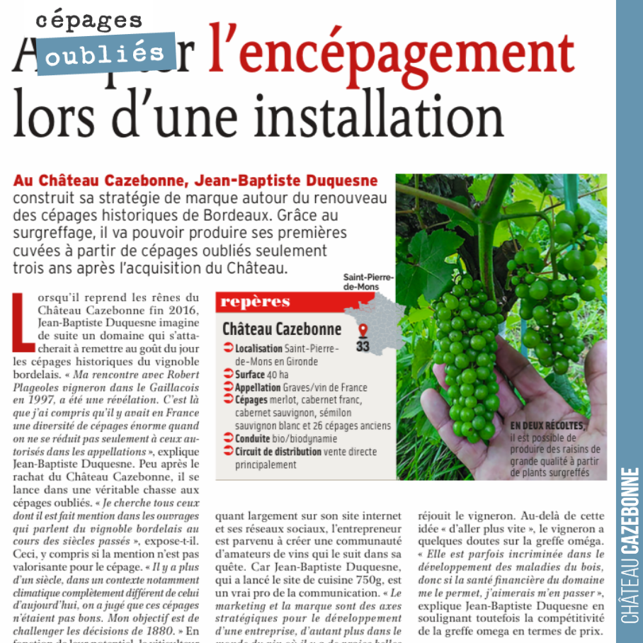 Our feature in the June issue of Réussir Vigne on top-grafting forgotten Bordeaux grape varieties in our vineyards.