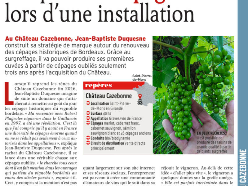 Our feature in the June issue of Réussir Vigne on top-grafting forgotten Bordeaux grape varieties in our vineyards.