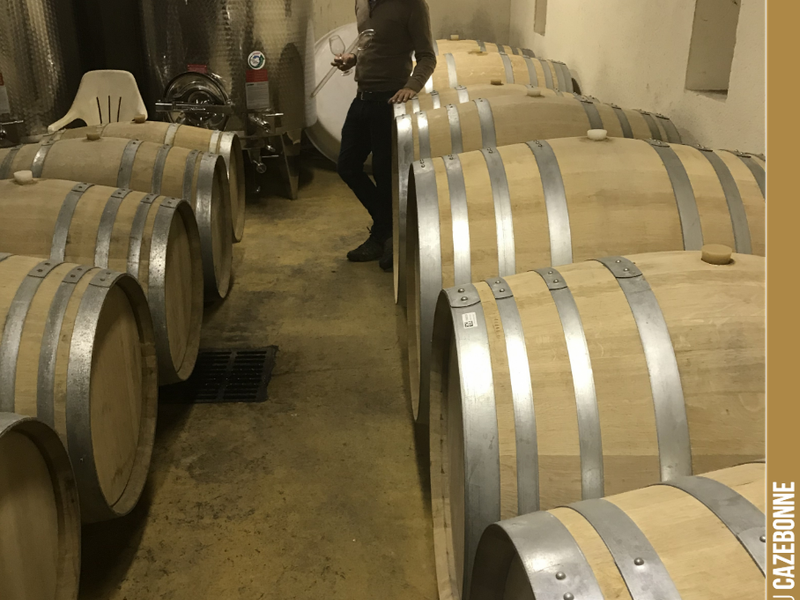 Nicolas, our oenologist, supports us throughout the vinification and ageing of our wines. He brings us his expertise and indispensable outside perspective.
Next month, we will wor...