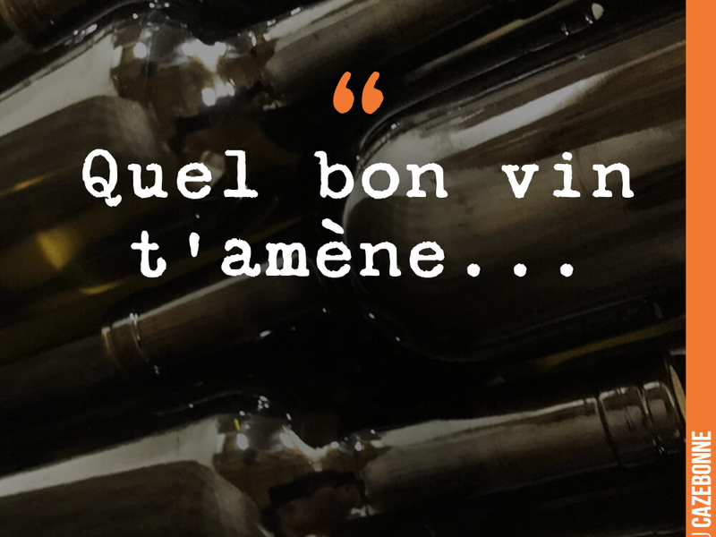 Quel bon vin t'amène...