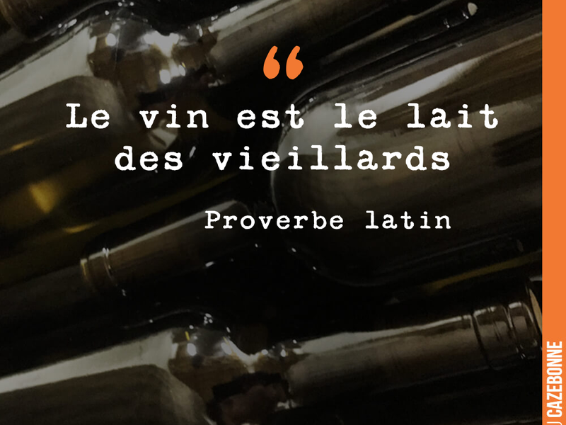 Le vin est le lait des vieillards