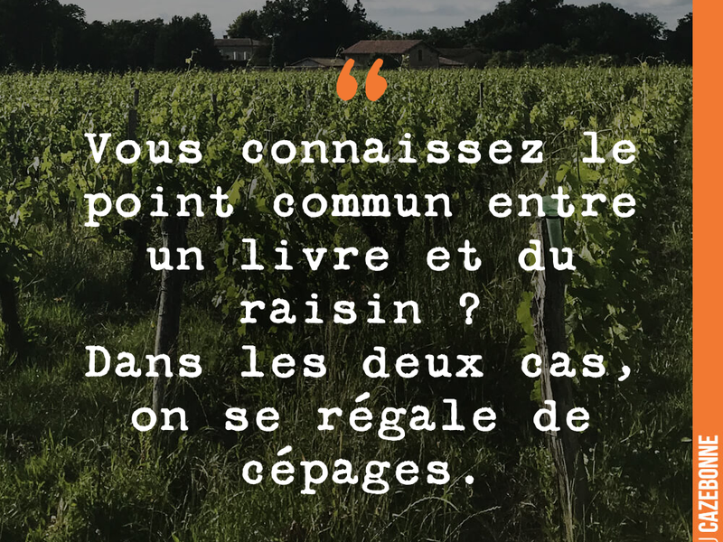 Vous connaissez le point commun entre un livre et du raisin ? Dans les deux cas, on se régale de cépages.