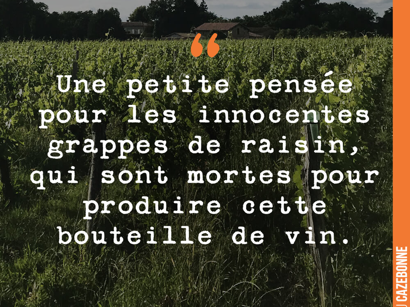 Une petite pensée pour les innocentes grappes de raisin, qui sont mortes pour produire cette bouteille de vin.