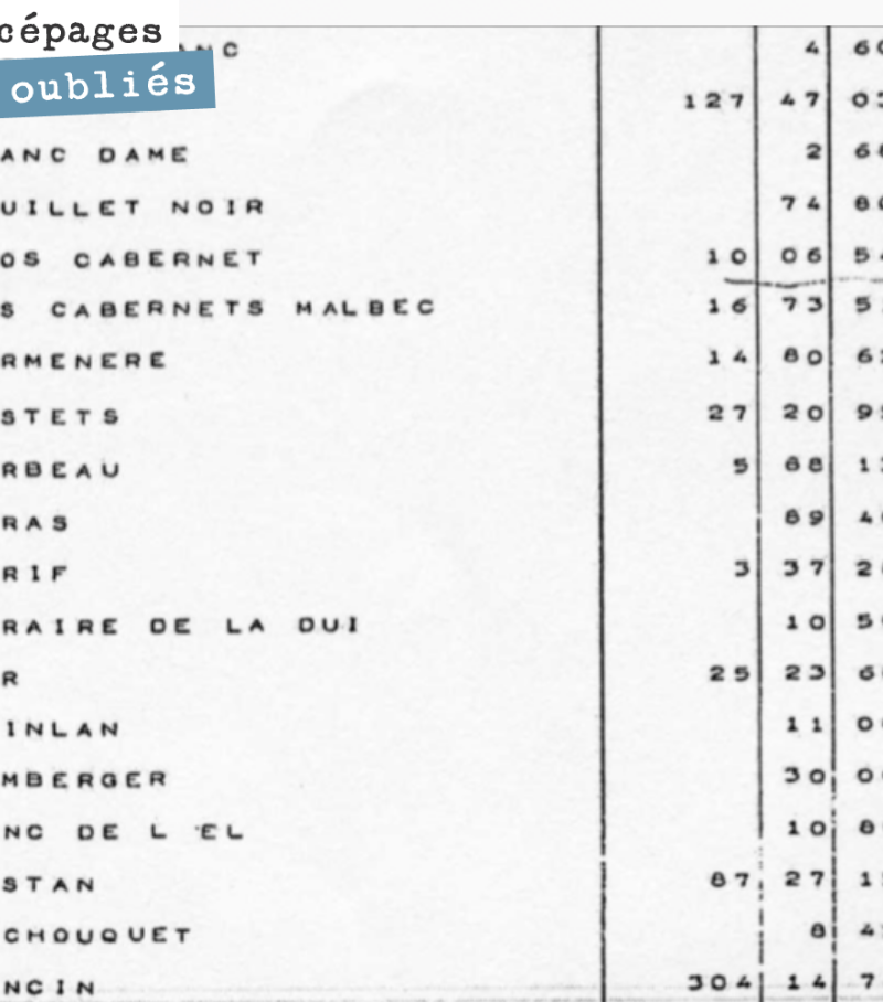 General census of the Gironde vineyard dating from 1964.
The Bordeaux vineyard was still rich in a multitude of grape varieties: Bequignol, Mancin, Castets, Cabernet-Malbec, Gros cabernet...
L...