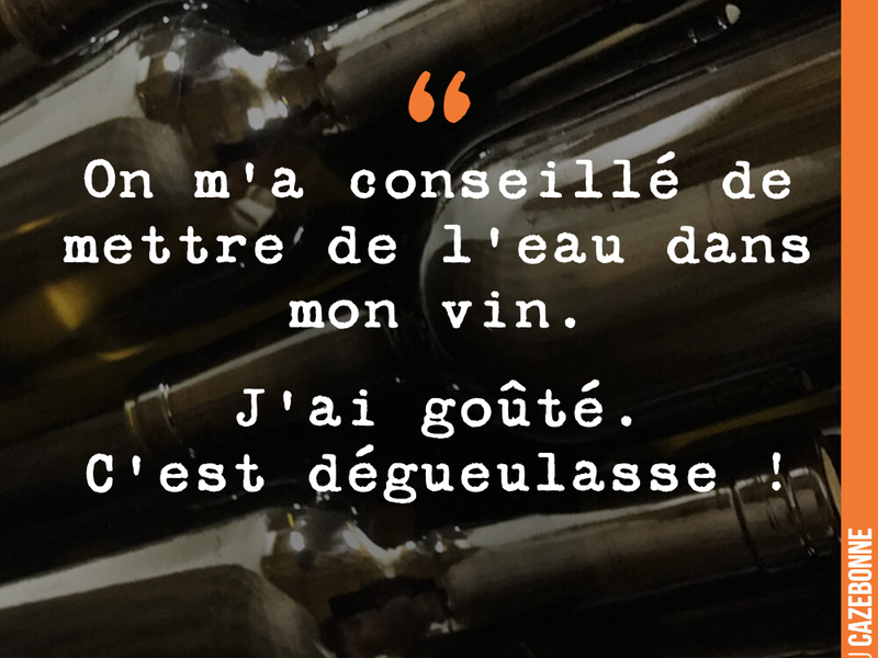 On m'a conseillé de mettre de l'eau dans mon vin. J'ai goûté. C'est dégueulasse !