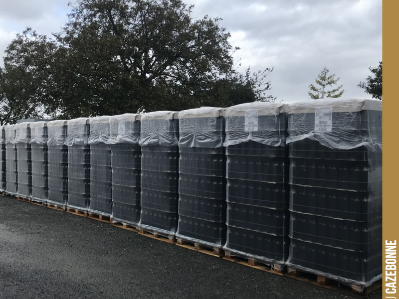 Today and tomorrow, we are bottling our 2019s. It’s going to be a busy schedule!