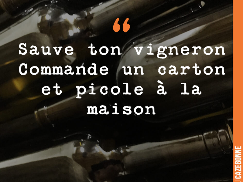 Sauve ton vigneron Commande un carton et picole à la maison