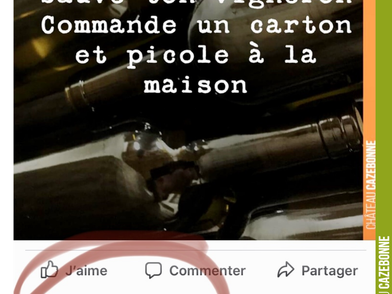 Sauve ton vigneron, commande un carton et picole à la maison