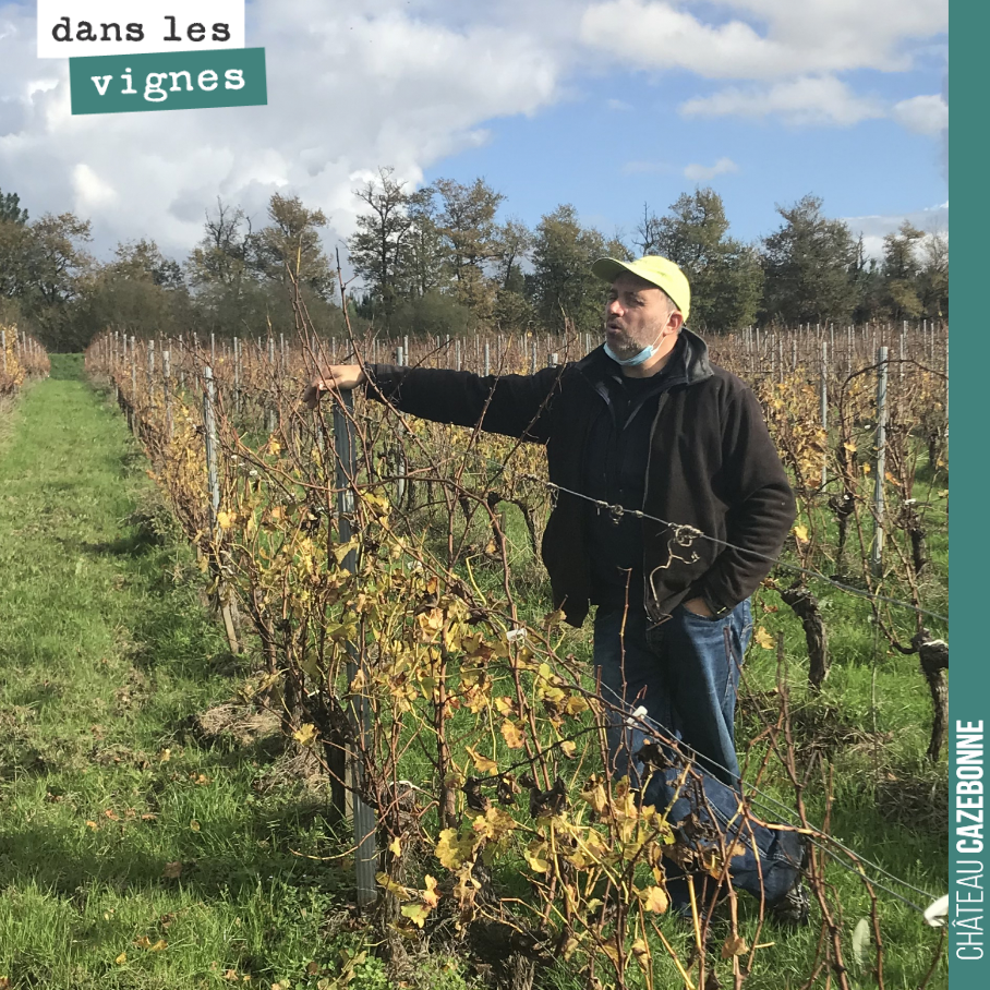 A walk through the vineyards with David to prepare this winter’s pruning plan. Pruning is a crucial stage. Adjusting the load to each vine, according to what it can give us, neither too much nor too little...