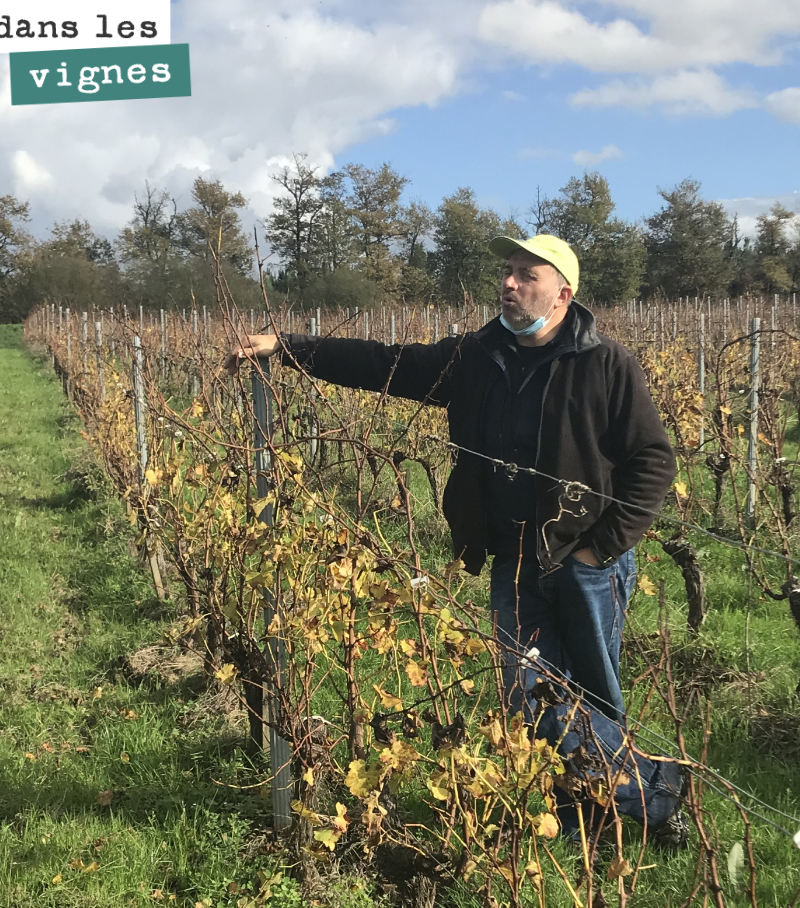 A walk through the vineyards with David to prepare this winter’s pruning plan. Pruning is a crucial stage. Adjusting the load to each vine, according to what it can give us, neither too much nor too little...