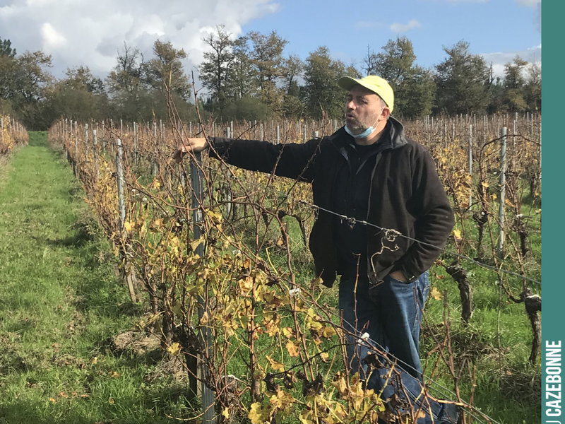 A walk through the vineyards with David to prepare this winter’s pruning plan. Pruning is a crucial stage. Adjusting the load to each vine, according to what it can give us, neither too much nor too little...