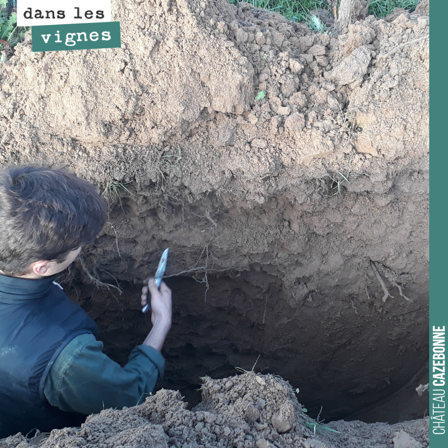 Valentin hard at work in the soil pit, trying to understand our soils a little better.
Analyse, understand, act for Bordeaux wines full of life.