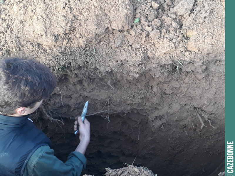 Valentin hard at work in the soil pit, trying to understand our soils a little better.
Analyse, understand, act for Bordeaux wines full of life.