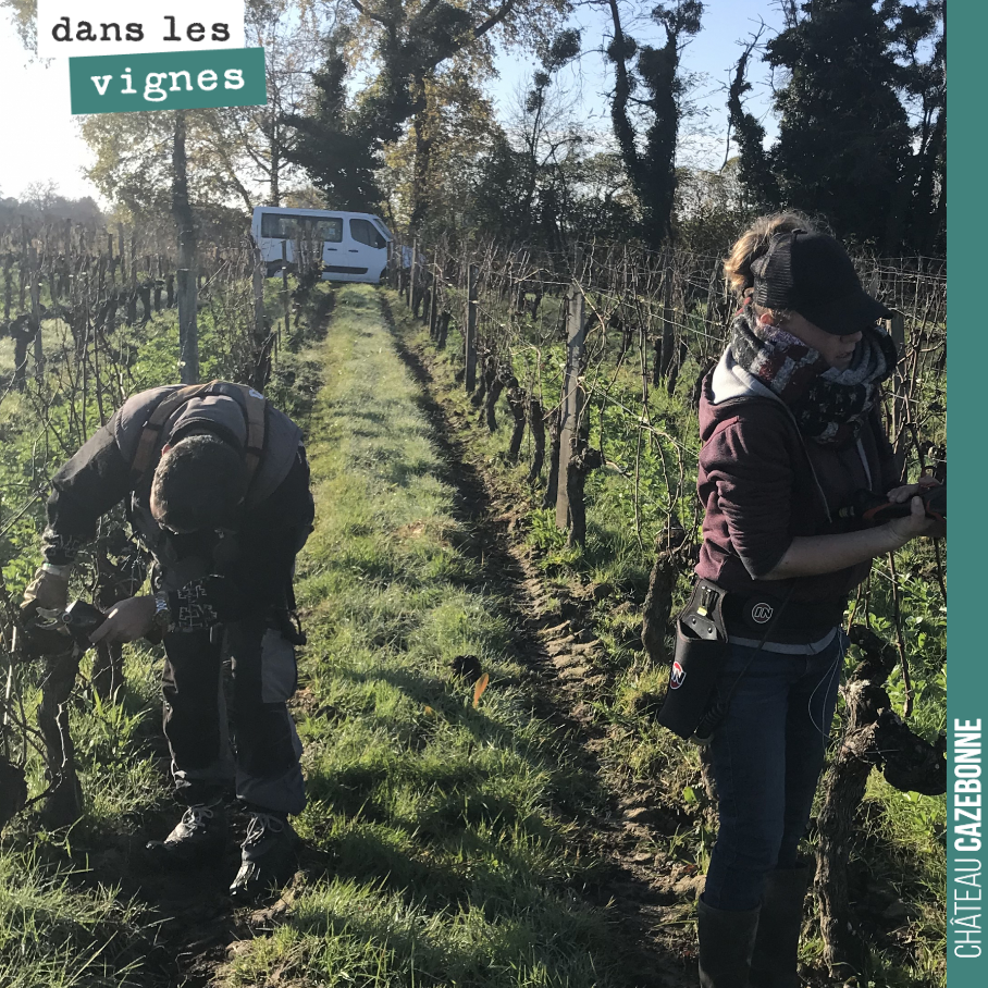 Last week, we started pruning under beautiful sunshine.
An essential step that determines the crop load of each vine for the upcoming harvest. Vine by vine, the right balance must be found...