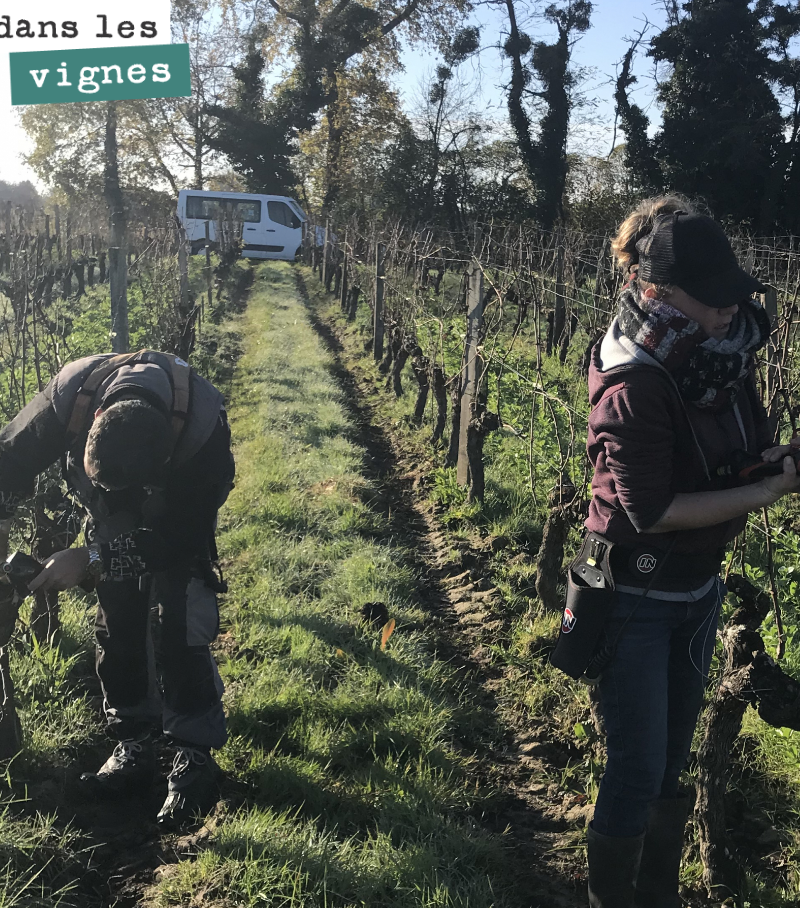 Last week, we started pruning under beautiful sunshine.
An essential step that determines the crop load of each vine for the upcoming harvest. Vine by vine, the right balance must be found...