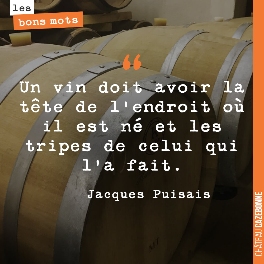 Un vin doit avoir la tête de l'endroit où il est né et les tripes de celui qui l'a fait