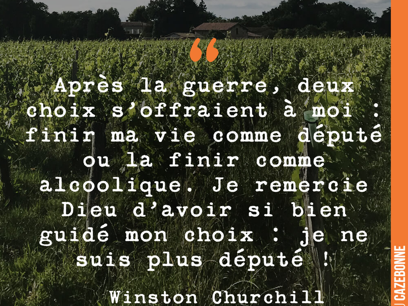 Après la guerre, deux choix s'offraient à moi : finir ma vie comme député ou la finir comme alcoolique. Je remercie Dieu d'avoir si bien guidé mon choix : je ne suis plus député !
