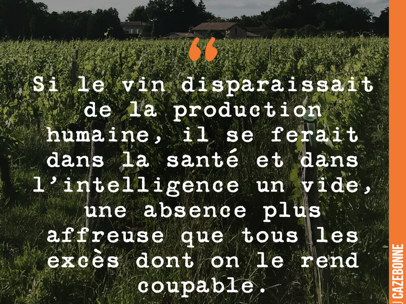Si le vin disparaissait de la production humaine, il se ferait dans la santé et dans l'intelligence un vide, une absence plus affreuse que tous les excès dont on le rend coupable
