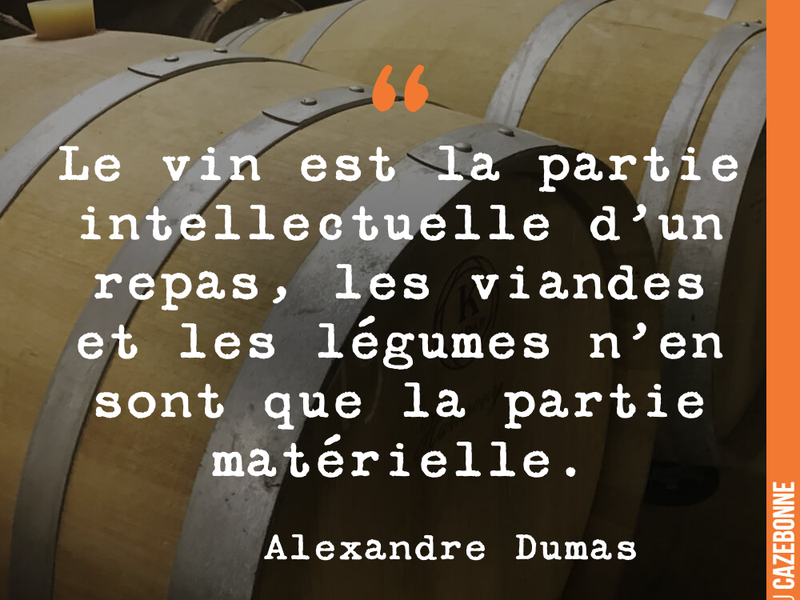 Le vin est la partie intellectuelle d'un repas, les viandes et les légumes n'en sont que la partie matérielle.