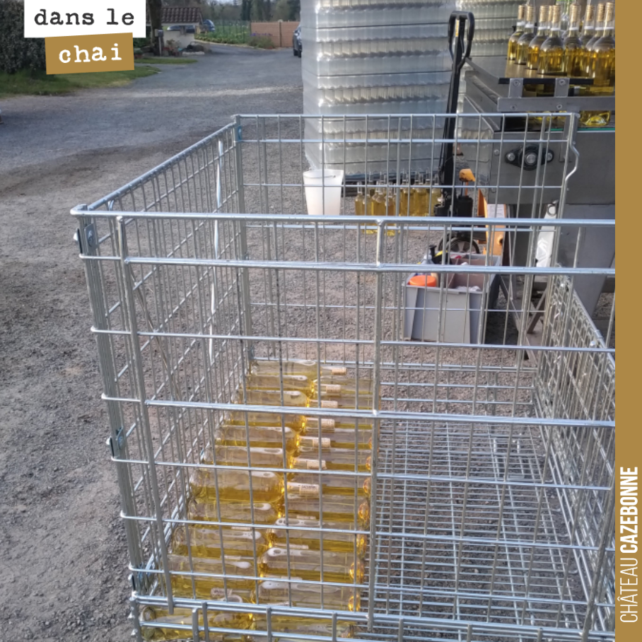 Bottling is underway for our Entre amis blanc 2020. A lovely sweet wine colour. 
No, it really is dry, we promise. And very successful this year. Can't wait for you to taste it. 110...