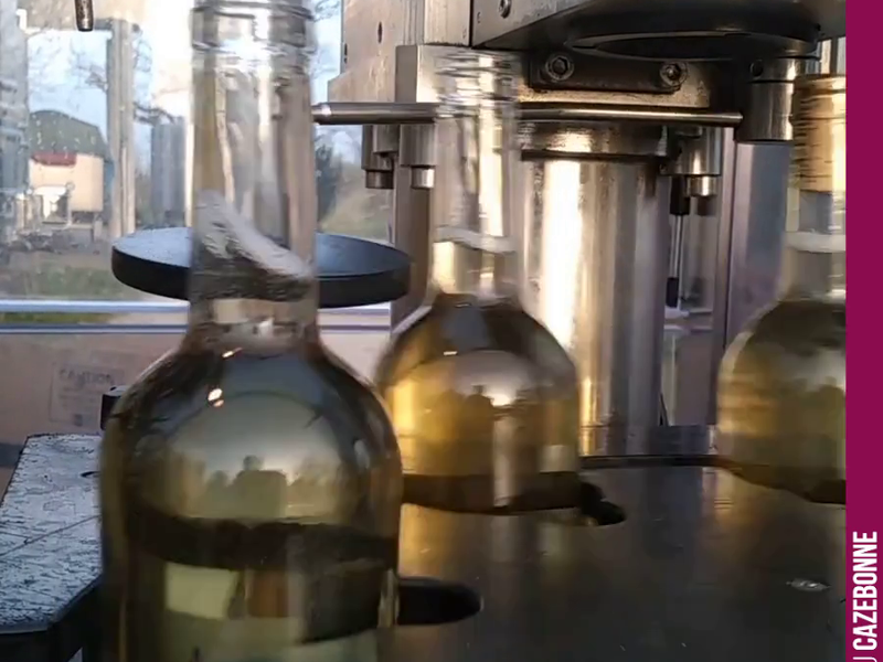 The dance of the bottles.
Bottling of Entre amis blanc 2020 is complete. This year we shall be content with 10,300 bottles to tide us over until the 2021.