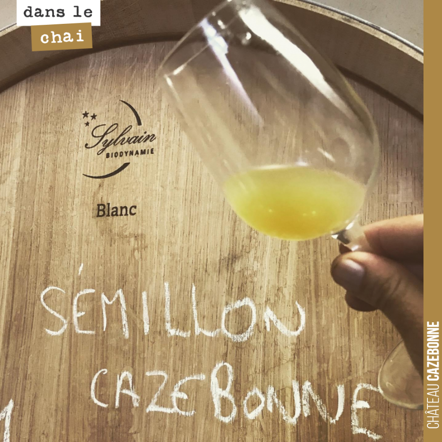 This year, we are ageing a batch of whites in 500-litre biodynamic Sylvain barrels. We favour large vessels at Cazebonne as they allow us to reduce oak influence on our wines, keeping...