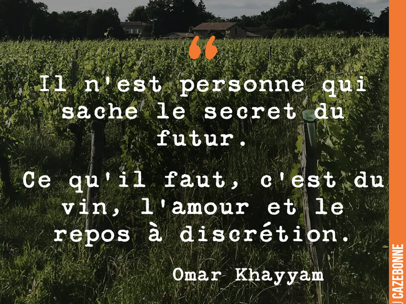 Il n'est personne qui sache le secret du futur. Ce qu'il faut, c'est du vin, l'amour et le repos à discrétion.