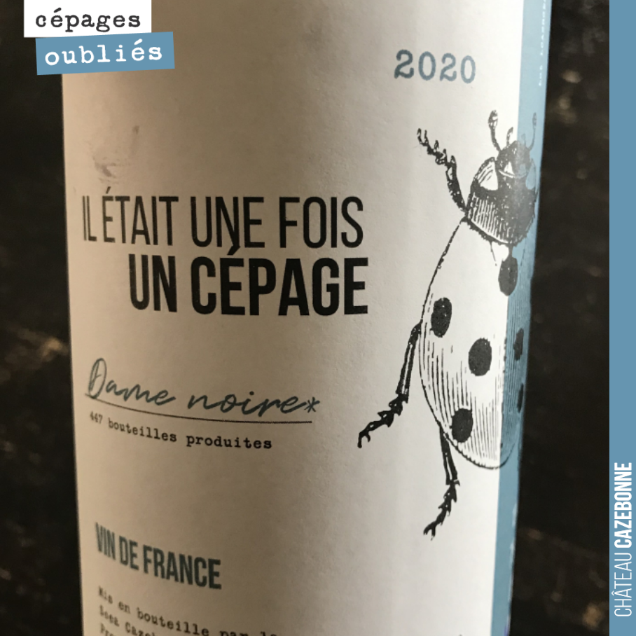 Among our new releases, this cuvée comes from Jurançon noir. 
We were forbidden to include the official grape variety name on the label, to avoid any confusion with Jurançon (as if...